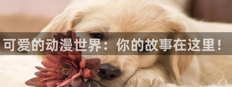 动漫共和国最新下载：可爱的动漫世界：你的故事在这里！